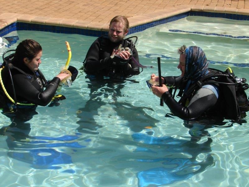 Swimming Pool Sessions